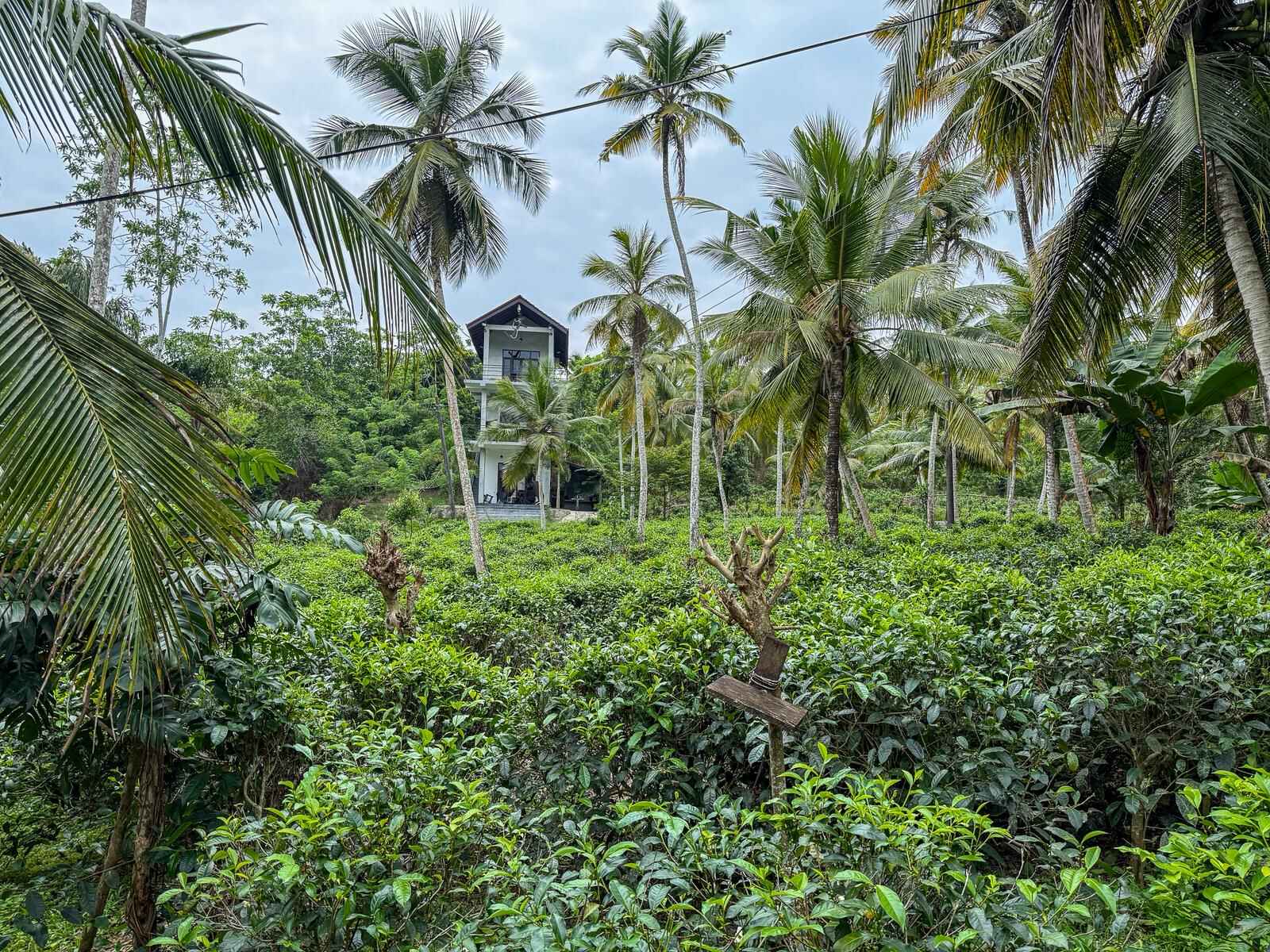 Accommodation photo 7