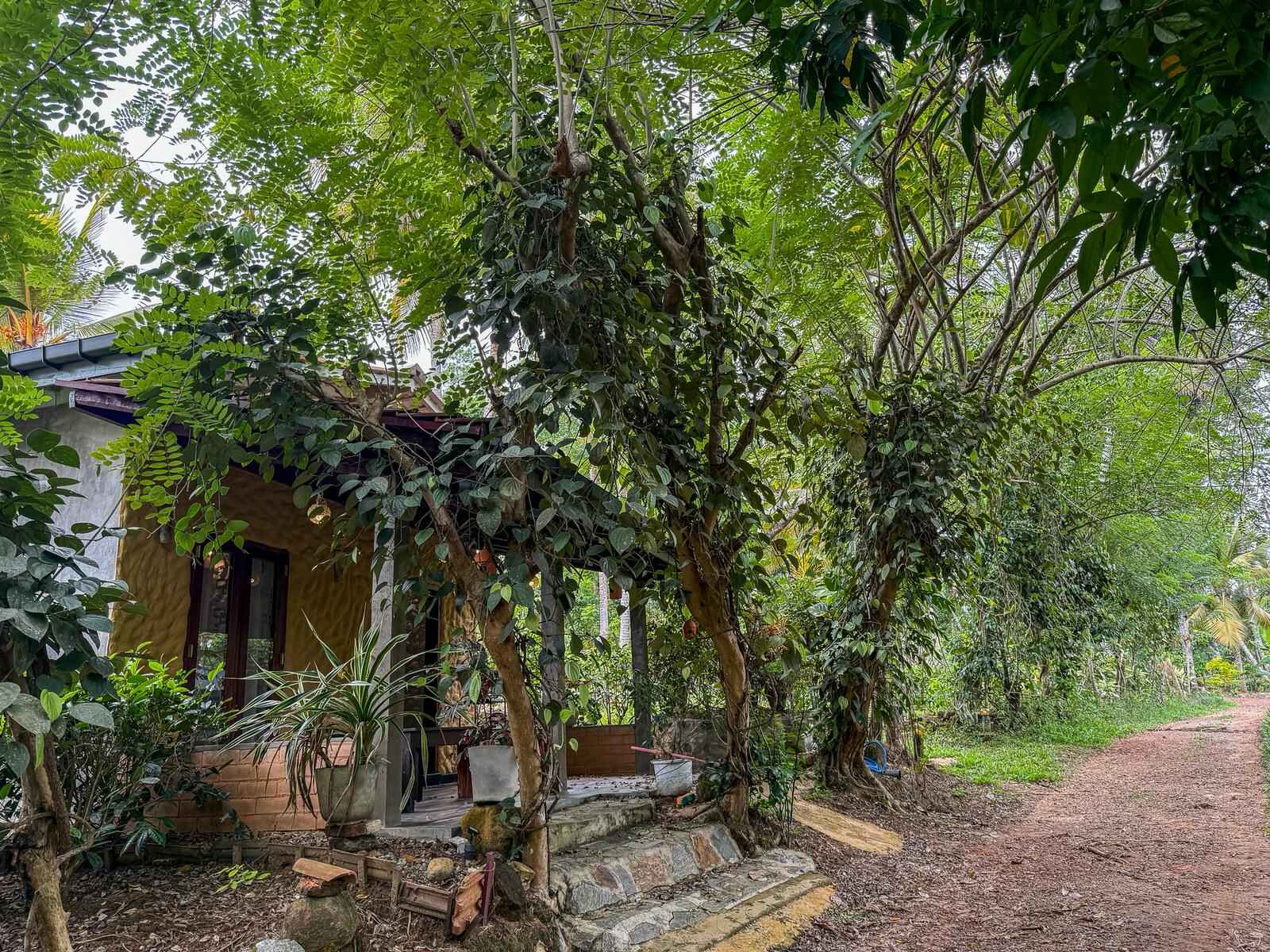 Accommodation photo 10